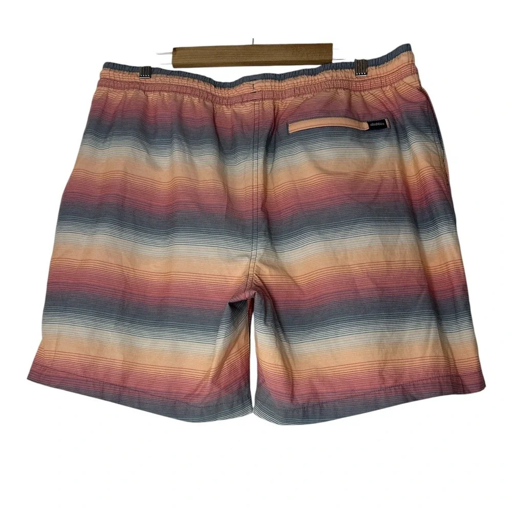 chubbies these swim